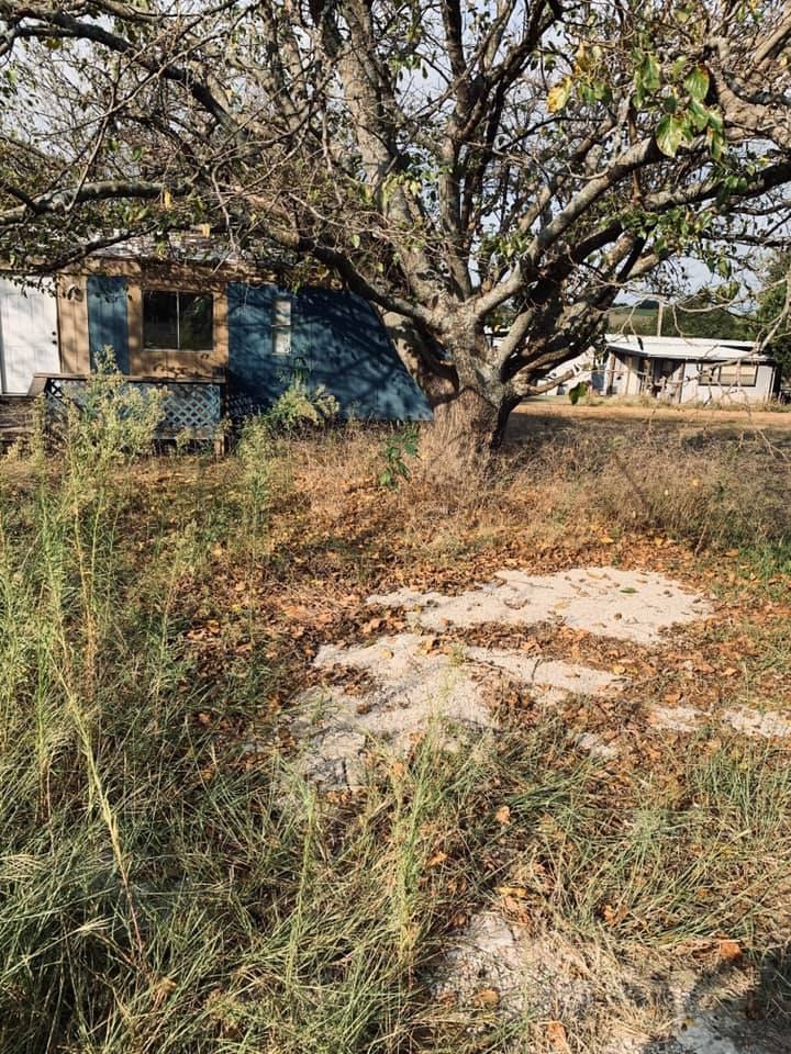 Yard Sharks property transformation