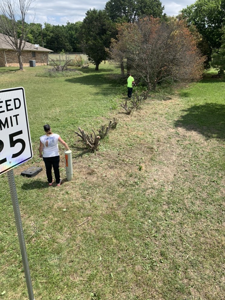 Yard Sharks crew trimming hedges along a residential property line