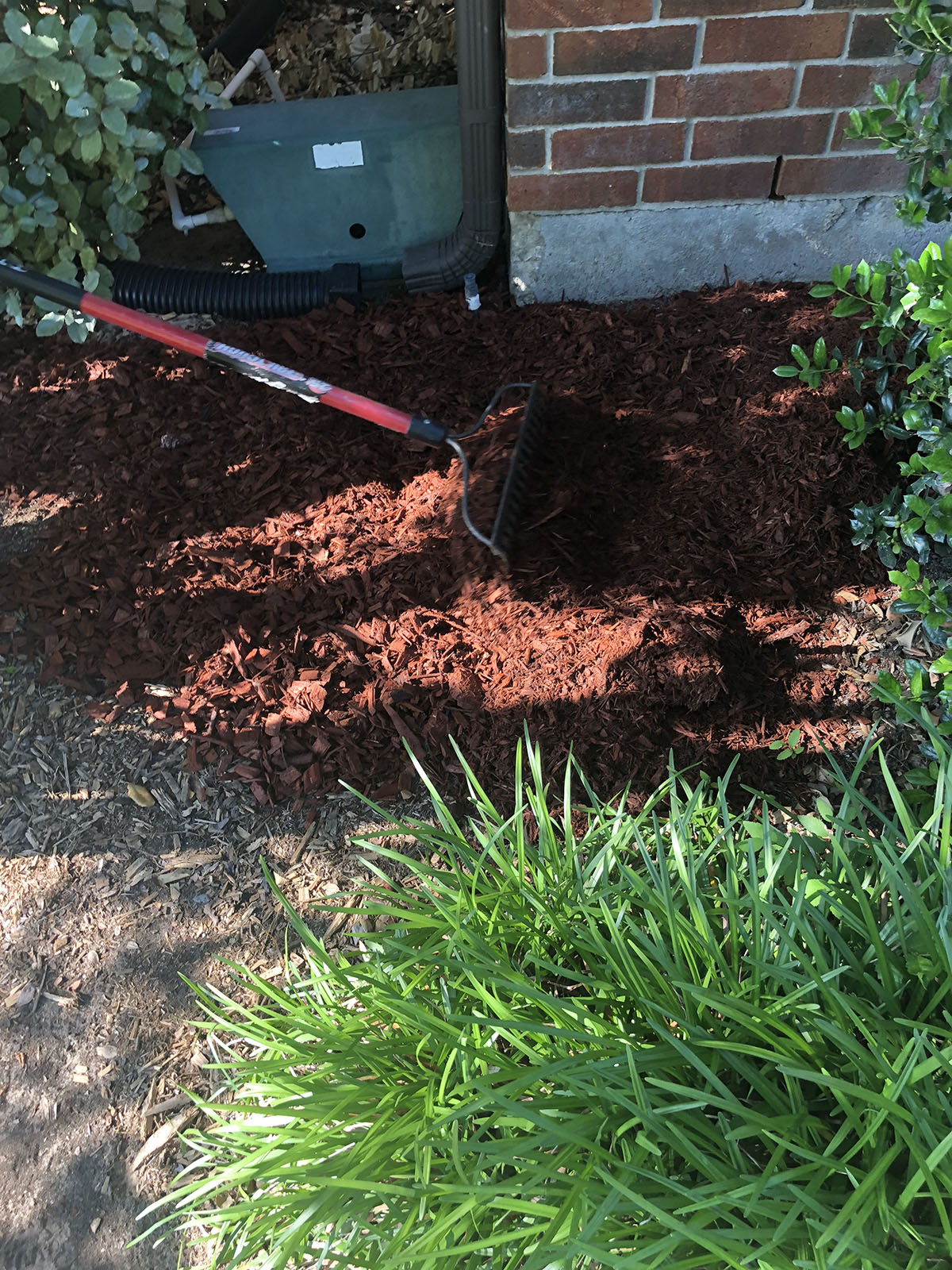 mulch