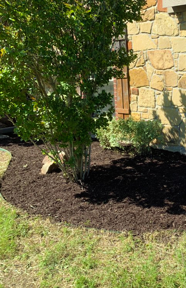 mulch